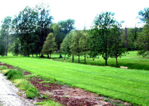 manutenzione_campo